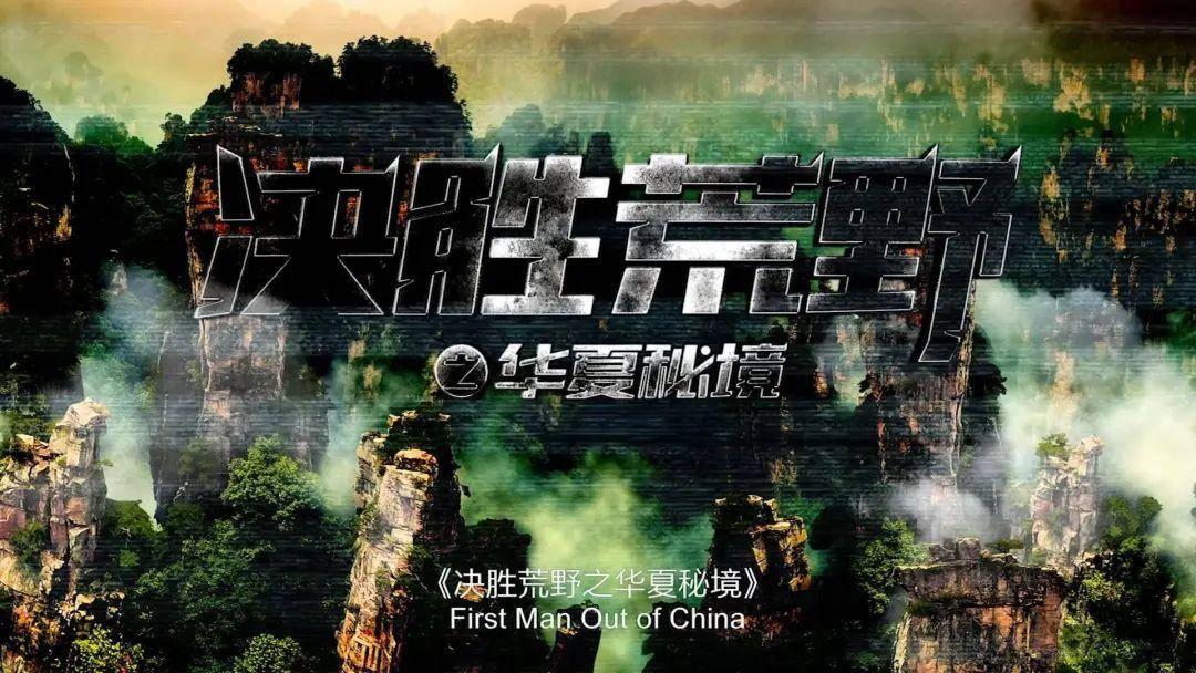腐草化萤