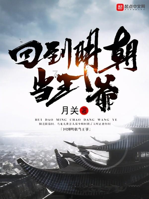 多功能治疗仪药包