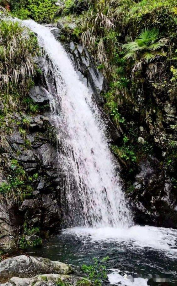 张格庄樱乡文化旅游节奉上春节“文化大餐”