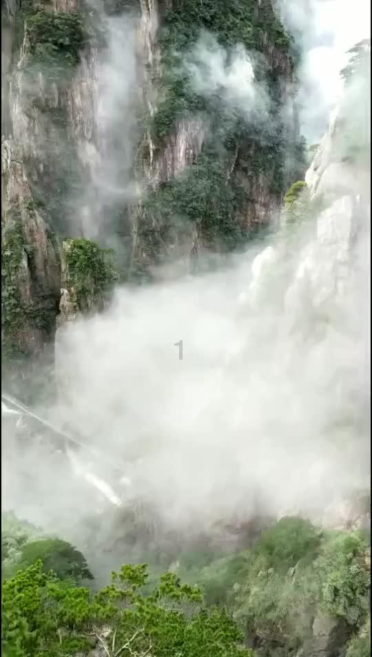 《东北话胜出!黑土无言》为何输给《沪语繁花》?
